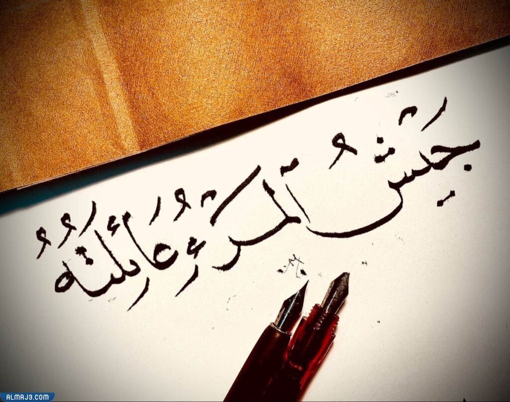 مامعنى جيش المرء عائلته