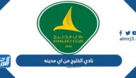 نادي الخليج من اي مدينه