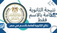 رابط نتائج الثانوية العامة بالاسم في مصر 2025