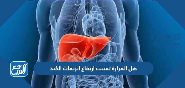 هل المرارة تسبب ارتفاع انزيمات الكبد