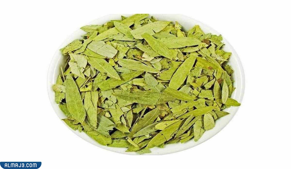 جرعة آمنة من السنا للإمساك