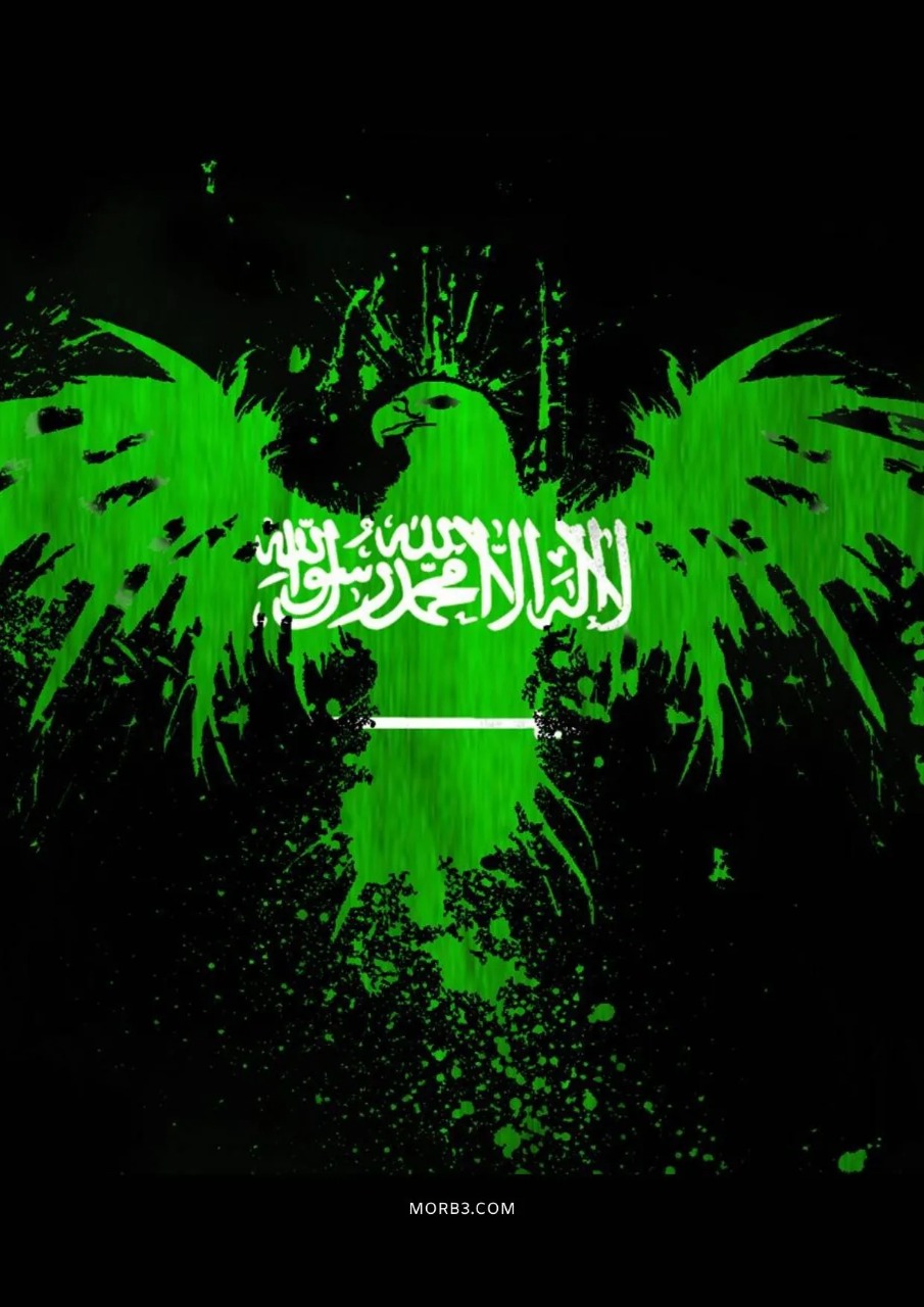 رموز اليوم الوطني للمملكة العربية السعودية 92 لا حقوق 