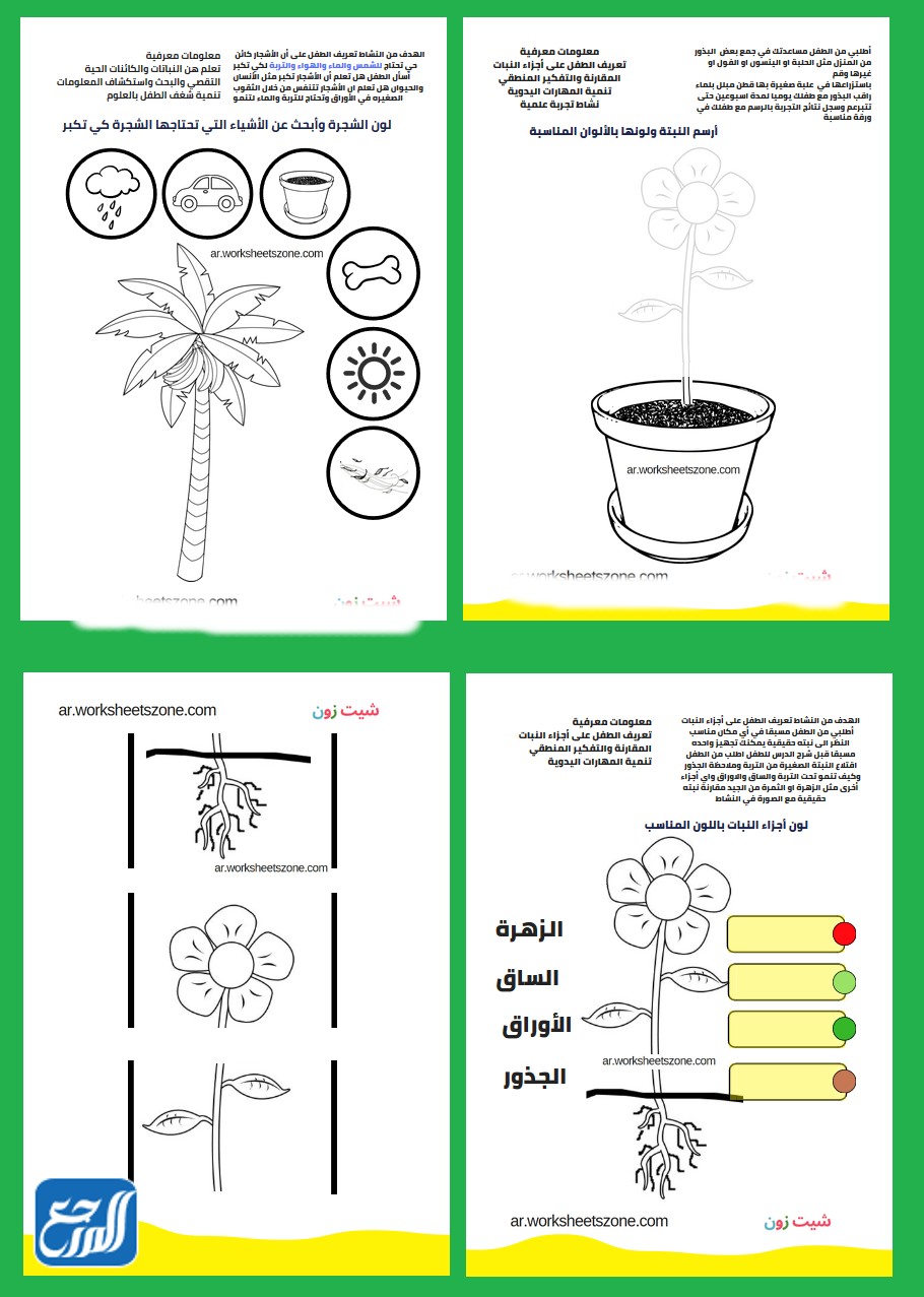 مطوية النباتات وأجزاؤها doc pd (2)