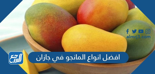 افضل انواع المانجو في جازان في السعودية موقع المرجع