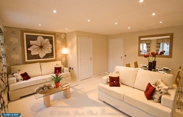 دهانات جوتن لون لؤلؤي ومشتقاته 2023