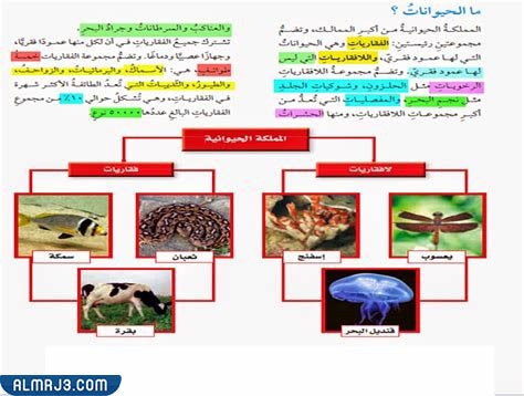 مطويّة عِن الحيواناتِ اللافقاريةِ