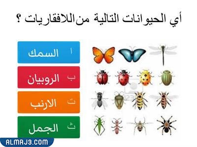 مطويّة عِن الحيواناتِ اللافقاريةِ