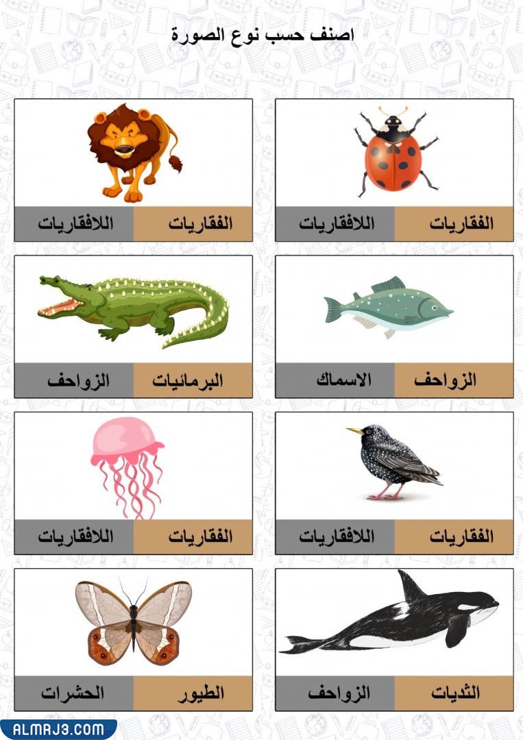 مطويّة عِن الحيواناتِ اللافقاريةِ