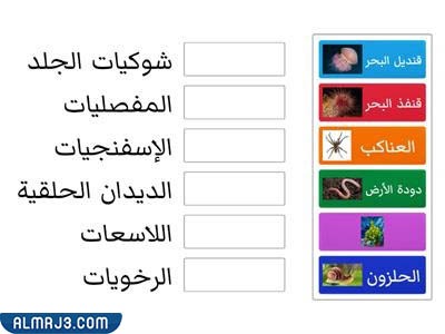 مطويّة عِن الحيواناتِ اللافقاريةِ