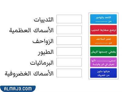 مطويّة عِن الحيواناتِ اللافقاريةِ
