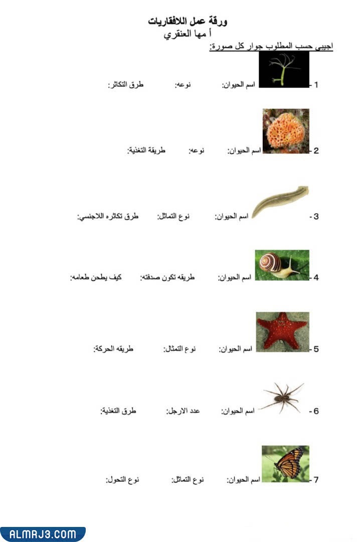 مطويّة عِن الحيواناتِ اللافقاريةِ