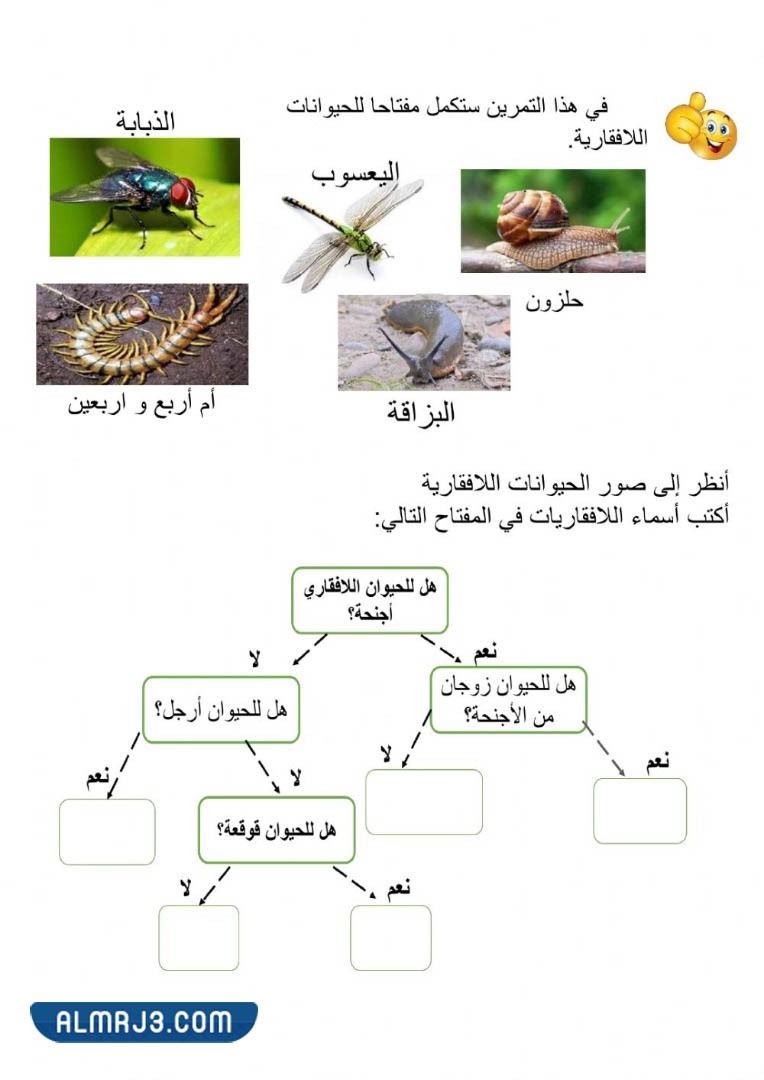 مطويّة عِن الحيواناتِ اللافقاريةِ