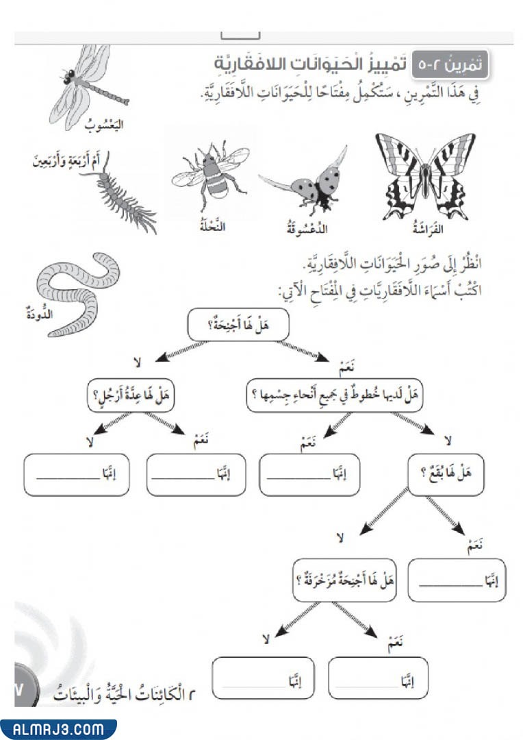 مطويّة عِن الحيواناتِ اللافقاريةِ