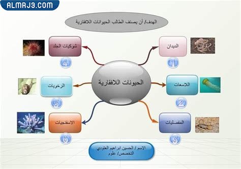 مطويّة عِن الحيواناتِ اللافقاريةِ