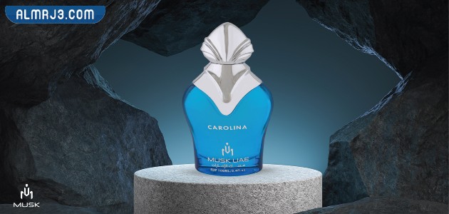 كم عدد فروع شركة مسك للعطور