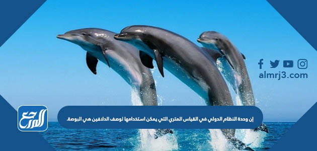 إن وحدة النظام الدولي في القياس المتري التي يمكن استخدامها لوصف الدلافين هي البوصة.