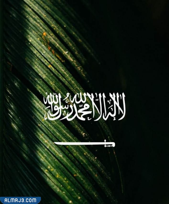 خلفيات اندرويد عن اليوم الوطني 92