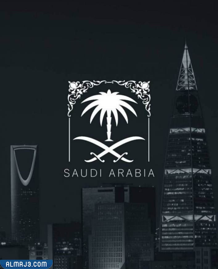 خلفيات اندرويد عن اليوم الوطني 92