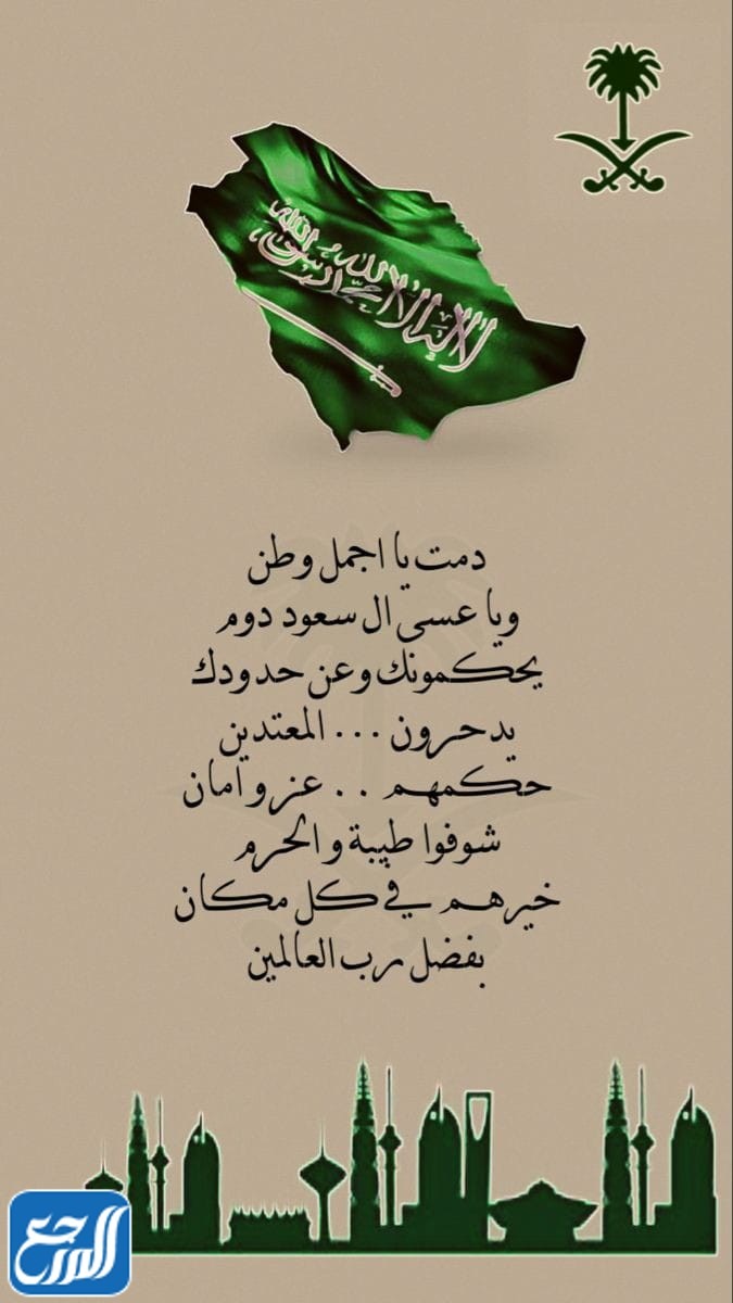 أروع صور معبرة عن اليوم الوطني