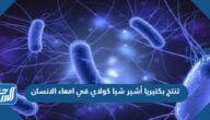 تنتج بكتيريا أشير شيا كولاي في امعاء الانسان