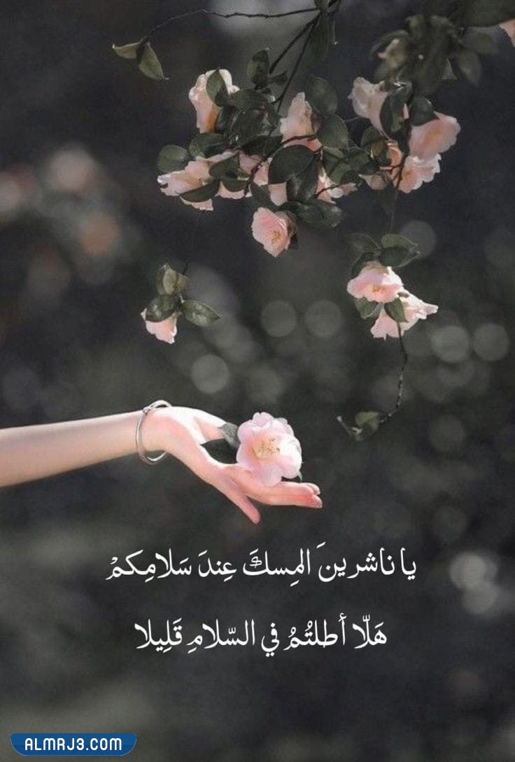 صور أبيات شعر قويه في الصميم