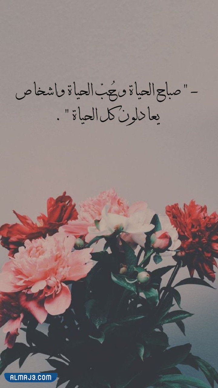 حالات شعر قوية بالصور