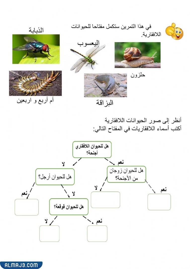 مطويّة عِن الحيواناتِ اللافقاريةِ