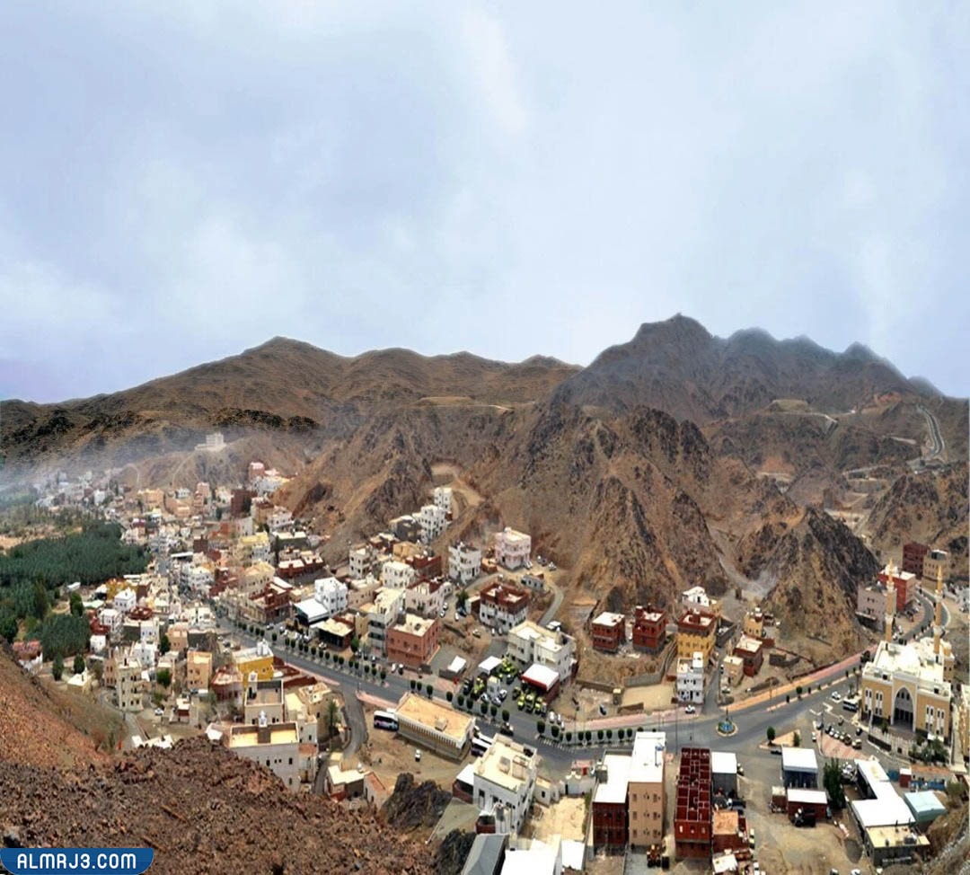 محافظة الكامل ويكيبيديا