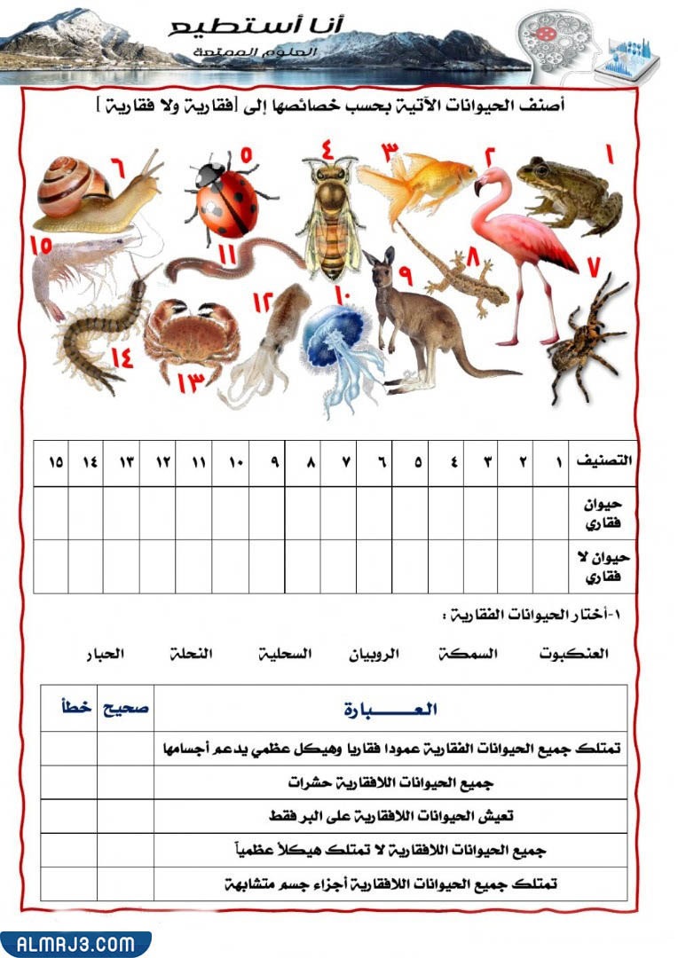 مطويّة عِن الحيواناتِ اللافقاريةِ