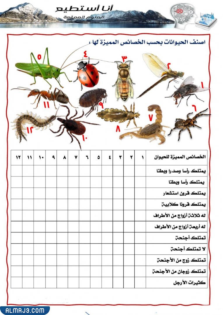 مطويّة عِن الحيواناتِ اللافقاريةِ