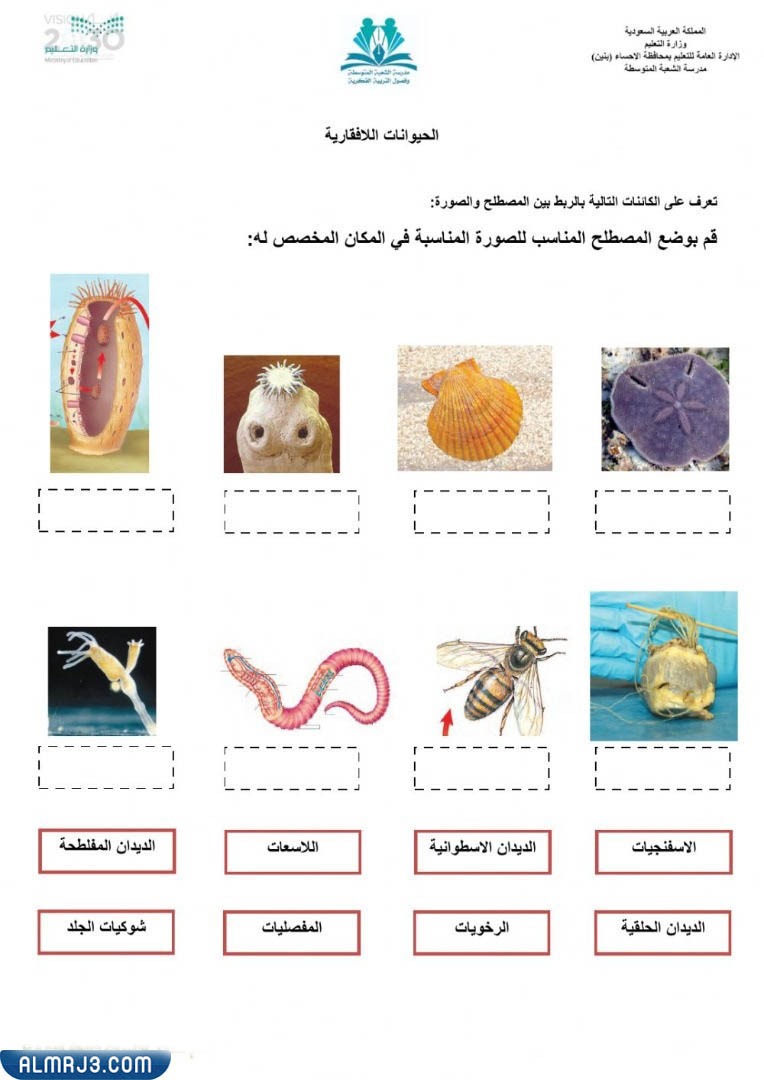 مطويّة عِن الحيواناتِ اللافقاريةِ