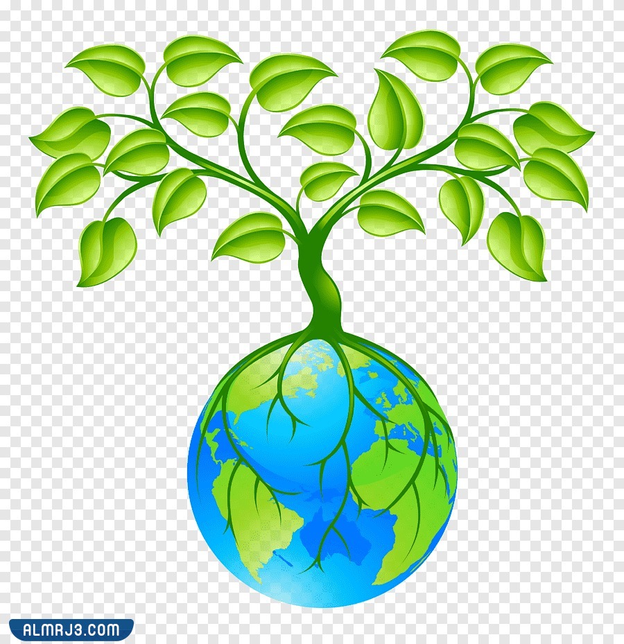 أجمل رسومات يوم التخضير