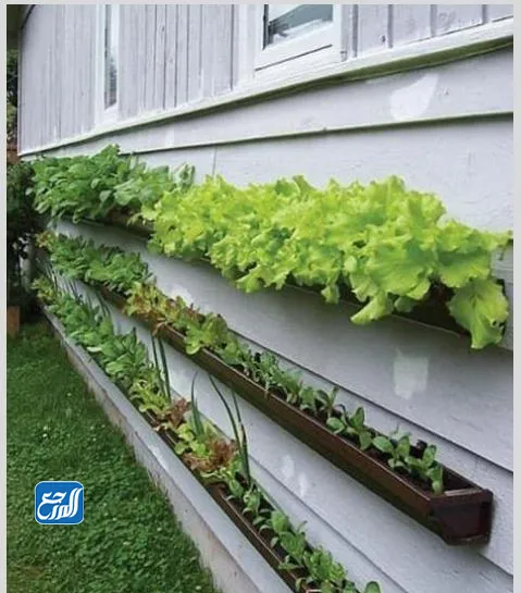 أفكار بسيطة ديكورات حدائق منزلية صغيرة وبسيطة