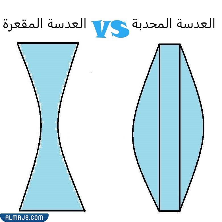 أنواع العدسة