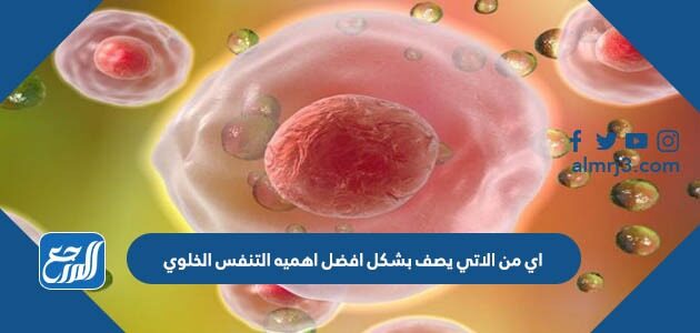 أي من الاتي يصف بشكل افضل أهمية التنفس الخلوي