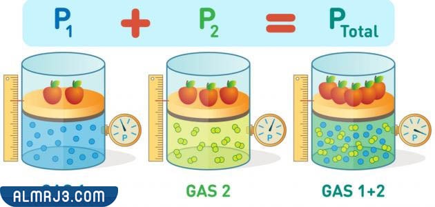 ابتكارات ومطويات من الورق سهلة جديدة 2023 (28)