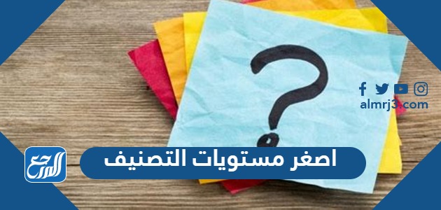 اصغر مستويات التصنيف