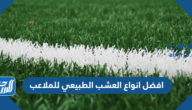 افضل انواع العشب الطبيعي للملاعب ومميزاتها وطريقة تركيبها