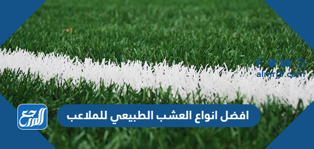 افضل انواع العشب الطبيعي للملاعب