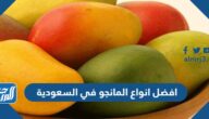 افضل انواع المانجو في السعودية