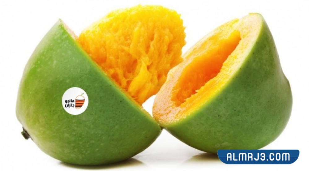 افضل انواع المانجو في جازان