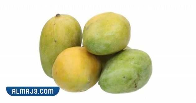 افضل انواع المانجو في جازان