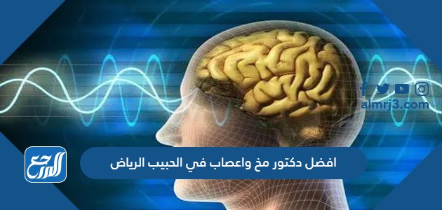 افضل دكتور مخ واعصاب في الحبيب الرياض