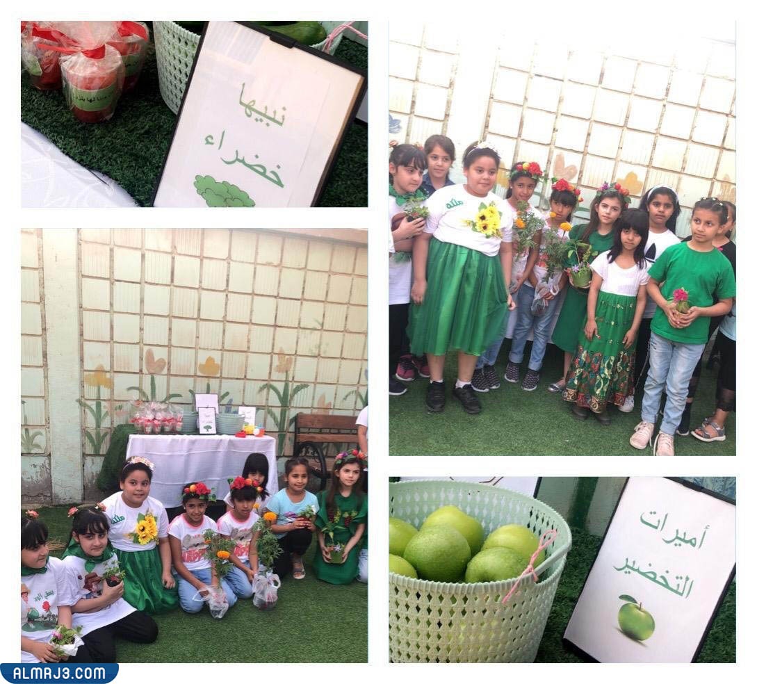 افكار ليوم التخضير في المدارس