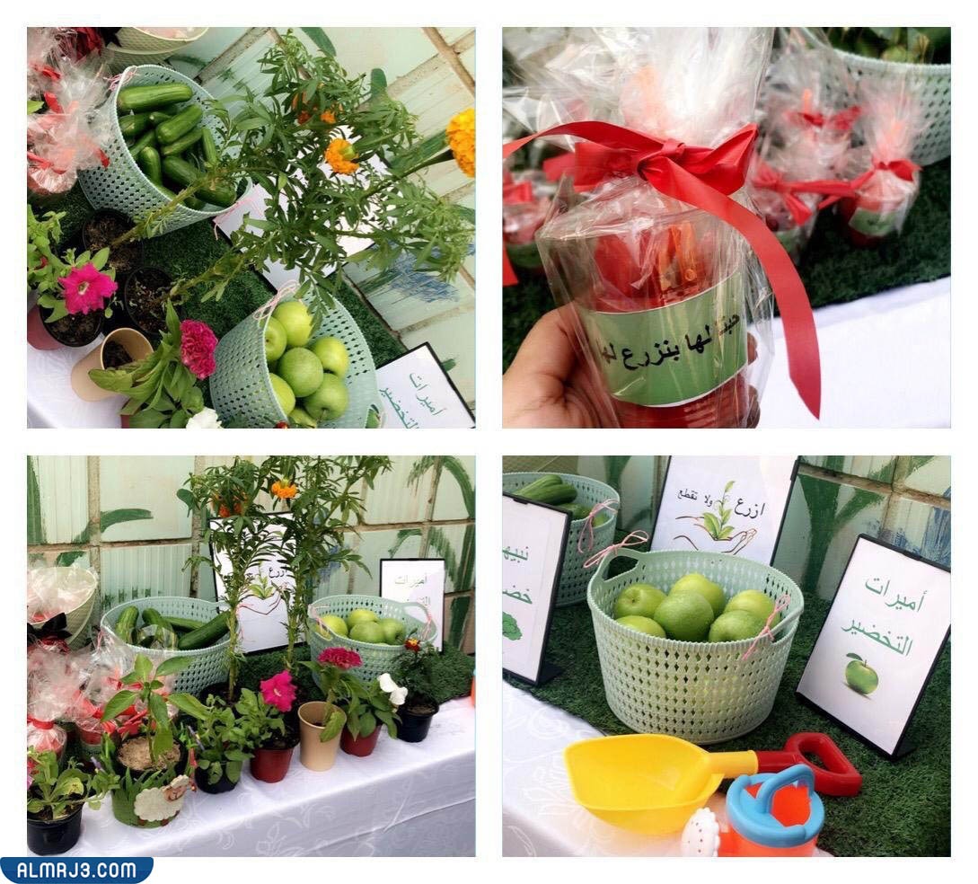 افكار ليوم التخضير في المدارس