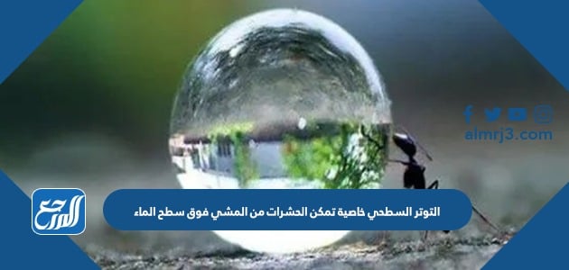 الوحدة الدولية لقياس عزم القوة هي