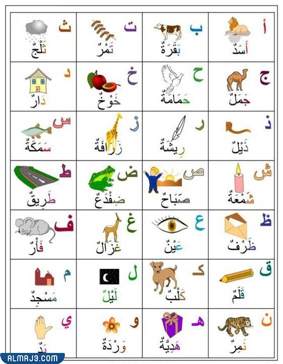 الحروف الهجائية بالصور والكلمات