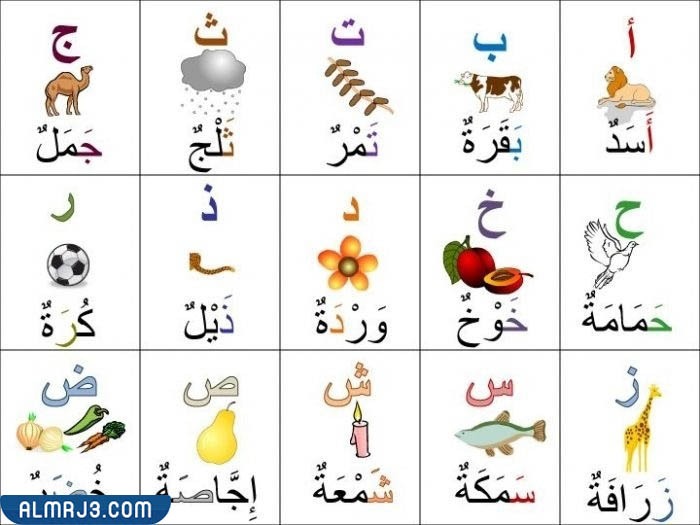 الحروف الهجائية بالصور والكلمات