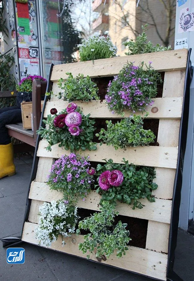 أفكار بسيطة ديكورات حدائق منزلية صغيرة وبسيطة