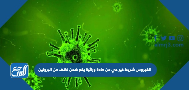 الفيروس شريط غير حي من مادة وراثية يقع ضمن غلاف من البروتين